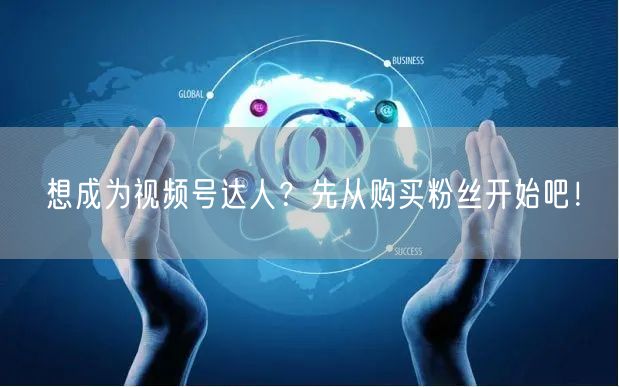 想成为视频号达人？先从购买粉丝开始吧！