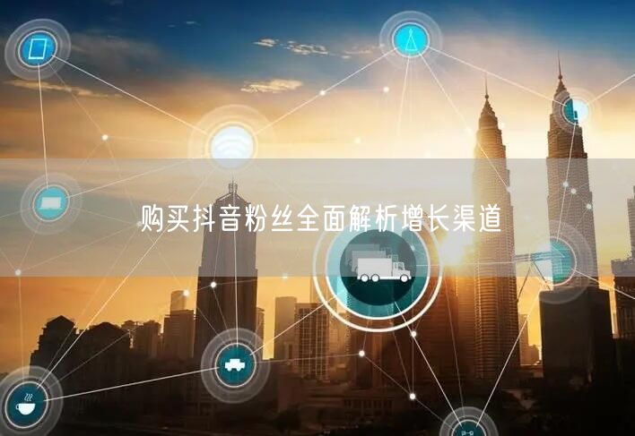 购买抖音粉丝全面解析增长渠道