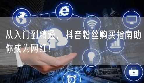 从入门到精通，抖音粉丝购买指南助你成为网红！