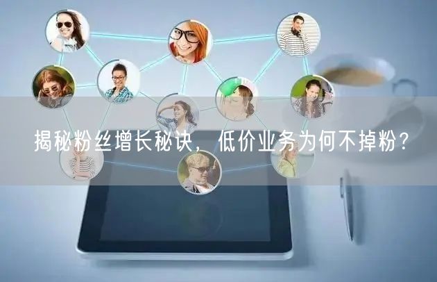 揭秘粉丝增长秘诀，低价业务为何不掉粉？